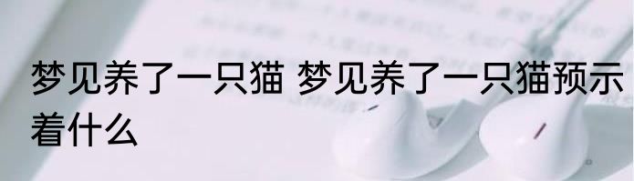 梦见养了一只猫 梦见养了一只猫预示着什么