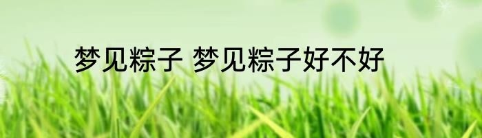 梦见粽子 梦见粽子好不好