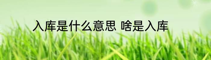 入库是什么意思 啥是入库
