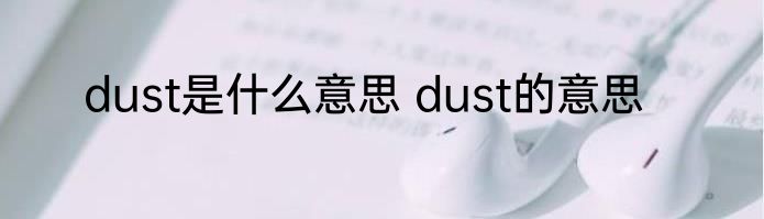 dust是什么意思 dust的意思