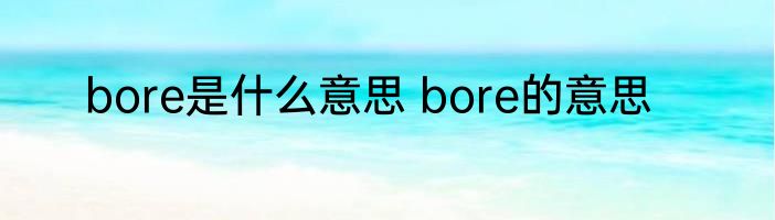 bore是什么意思 bore的意思