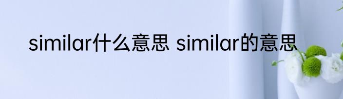similar什么意思 similar的意思