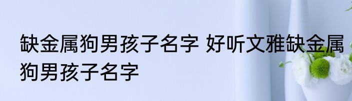 缺金属狗男孩子名字 好听文雅缺金属狗男孩子名字