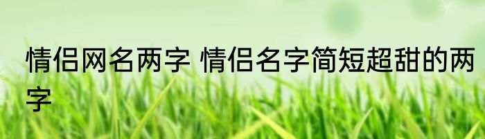 情侣网名两字 情侣名字简短超甜的两字