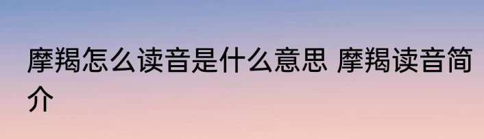 摩羯怎么读音是什么意思 摩羯读音简介