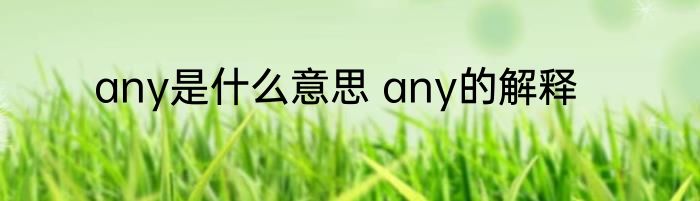 any是什么意思 any的解释