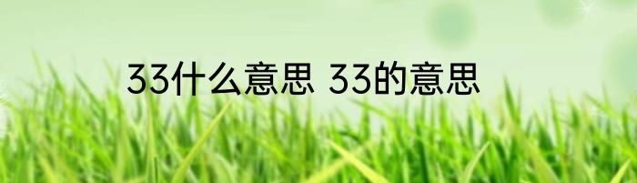 33什么意思 33的意思