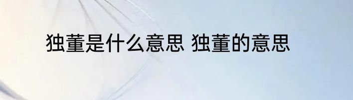 独董是什么意思 独董的意思