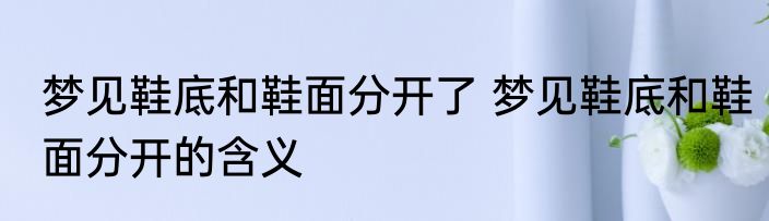 梦见鞋底和鞋面分开了 梦见鞋底和鞋面分开的含义