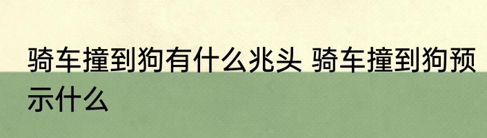 骑车撞到狗有什么兆头 骑车撞到狗预示什么