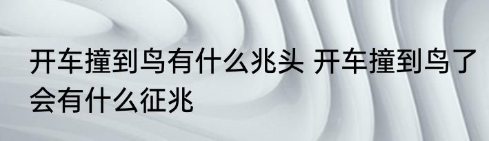 开车撞到鸟有什么兆头 开车撞到鸟了会有什么征兆