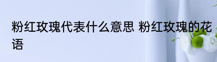 粉红玫瑰代表什么意思 粉红玫瑰的花语