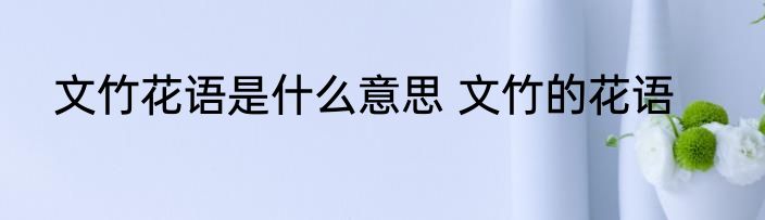 文竹花语是什么意思 文竹的花语