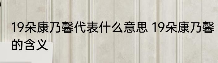 19朵康乃馨代表什么意思 19朵康乃馨的含义
