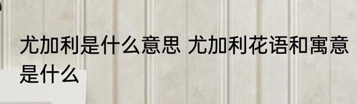 尤加利是什么意思 尤加利花语和寓意是什么