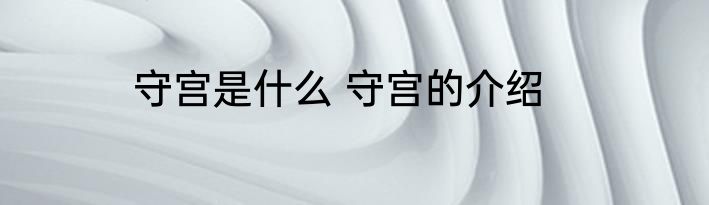守宫是什么 守宫的介绍