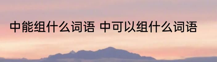 中能组什么词语 中可以组什么词语