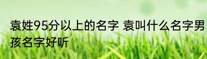 袁姓95分以上的名字 袁叫什么名字男孩名字好听