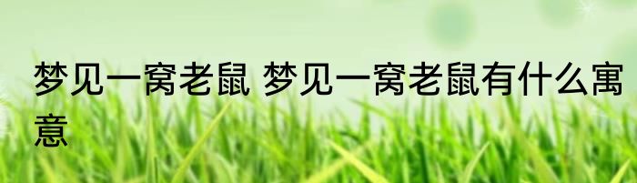 梦见一窝老鼠 梦见一窝老鼠有什么寓意