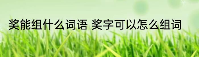 奖能组什么词语 奖字可以怎么组词