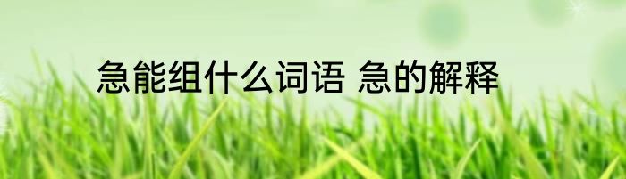 急能组什么词语 急的解释