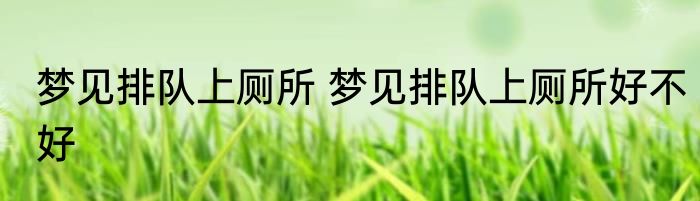 梦见排队上厕所 梦见排队上厕所好不好