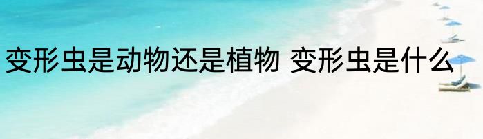 变形虫是动物还是植物 变形虫是什么