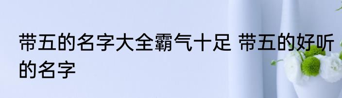 带五的名字大全霸气十足 带五的好听的名字