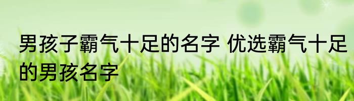 男孩子霸气十足的名字 优选霸气十足的男孩名字