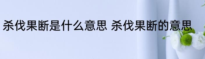 杀伐果断是什么意思 杀伐果断的意思