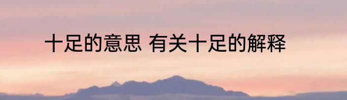 十足的意思 有关十足的解释