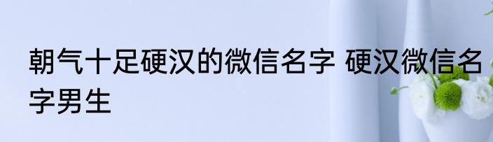 朝气十足硬汉的微信名字 硬汉微信名字男生