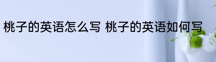 桃子的英语怎么写 桃子的英语如何写