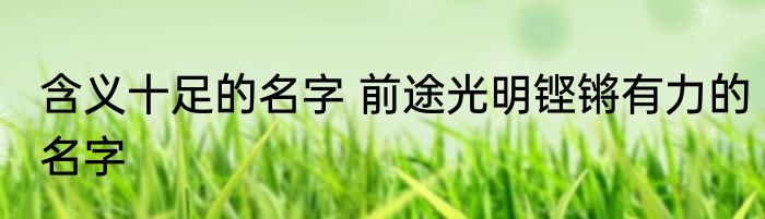 含义十足的名字 前途光明铿锵有力的名字