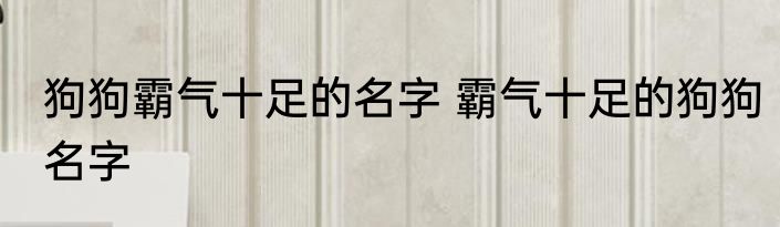 狗狗霸气十足的名字 霸气十足的狗狗名字
