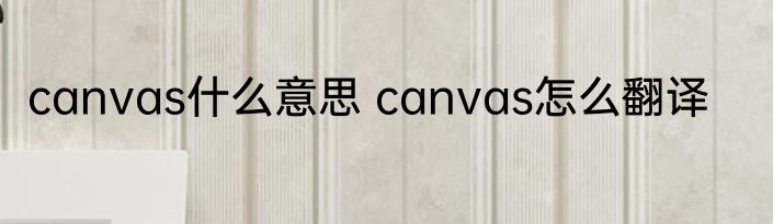 canvas什么意思 canvas怎么翻译