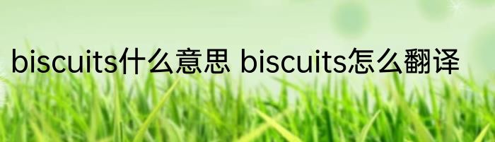 biscuits什么意思 biscuits怎么翻译