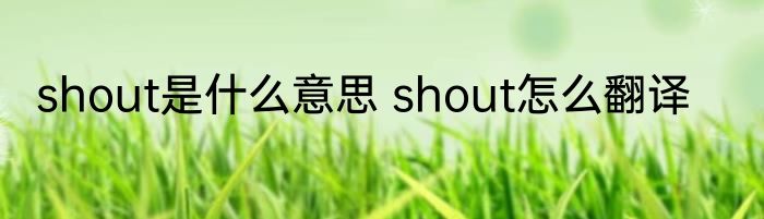 shout是什么意思 shout怎么翻译