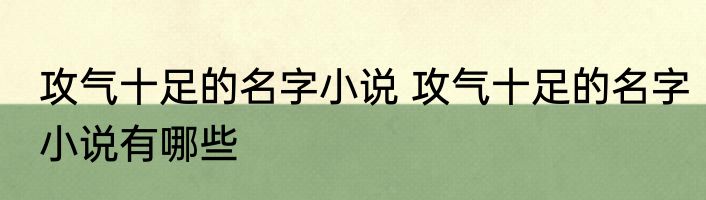 攻气十足的名字小说 攻气十足的名字小说有哪些