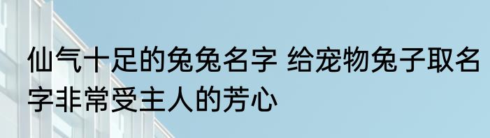 仙气十足的兔兔名字 给宠物兔子取名字非常受主人的芳心