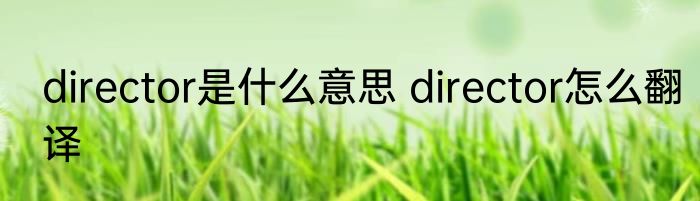 director是什么意思 director怎么翻译
