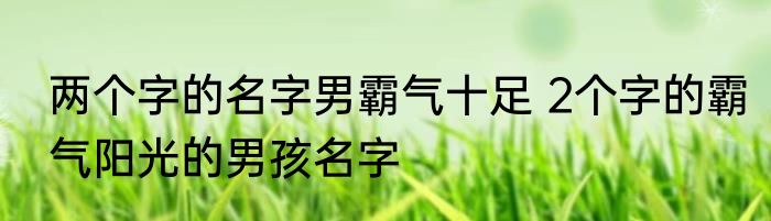 两个字的名字男霸气十足 2个字的霸气阳光的男孩名字