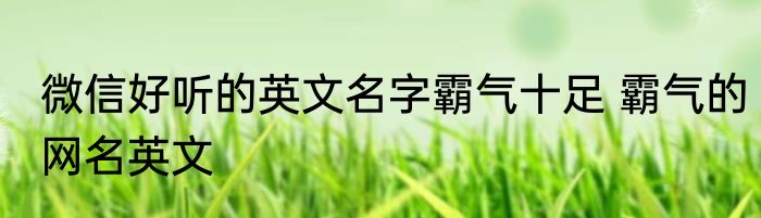 微信好听的英文名字霸气十足 霸气的网名英文