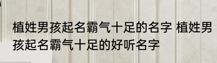 植姓男孩起名霸气十足的名字 植姓男孩起名霸气十足的好听名字