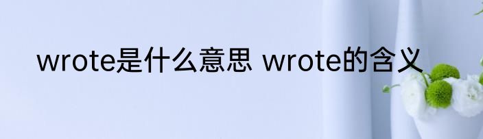 wrote是什么意思 wrote的含义