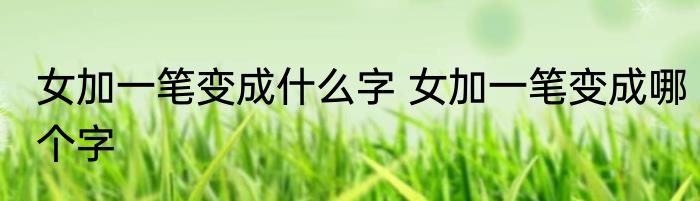 女加一笔变成什么字 女加一笔变成哪个字