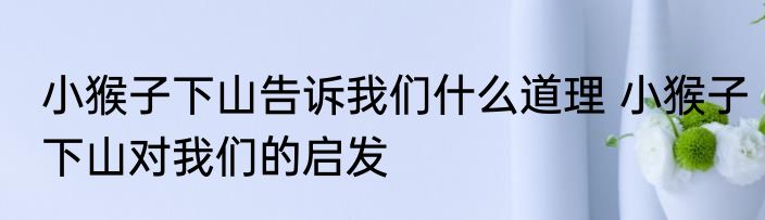 小猴子下山告诉我们什么道理 小猴子下山对我们的启发