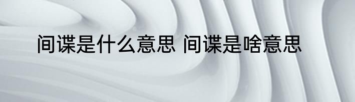 间谍是什么意思 间谍是啥意思