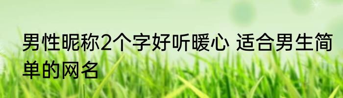 男性昵称2个字好听暖心 适合男生简单的网名