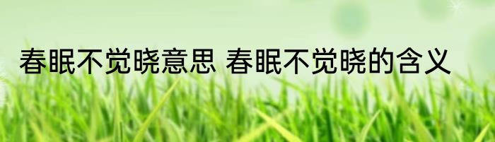 春眠不觉晓意思 春眠不觉晓的含义